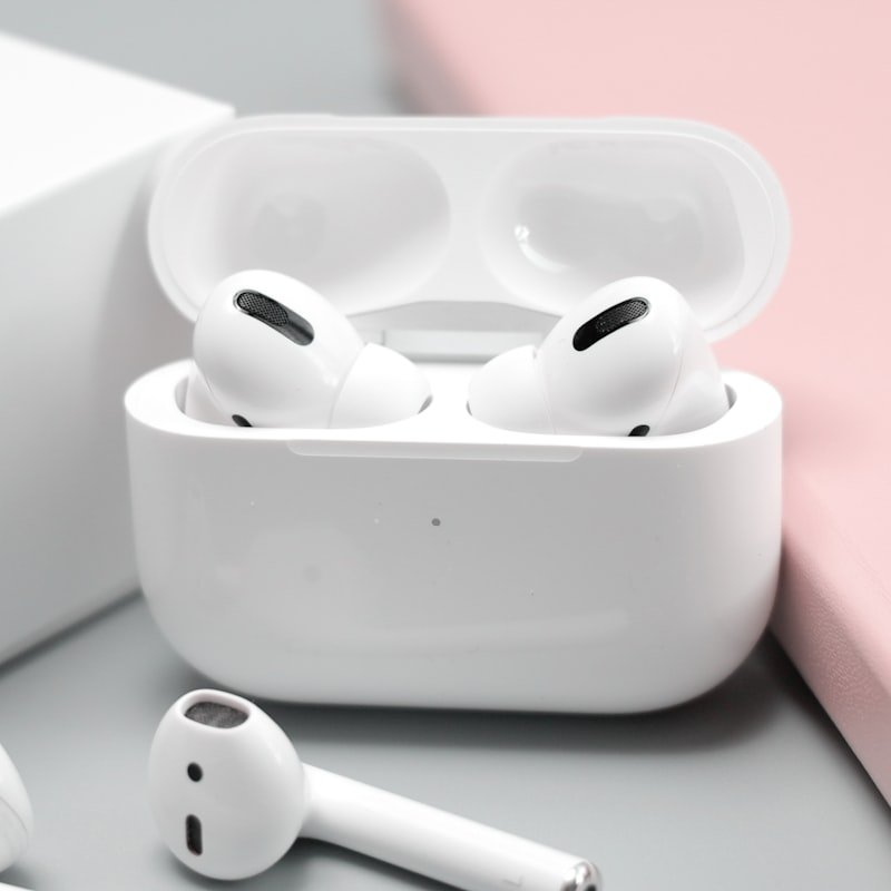 Earbuds Pouch